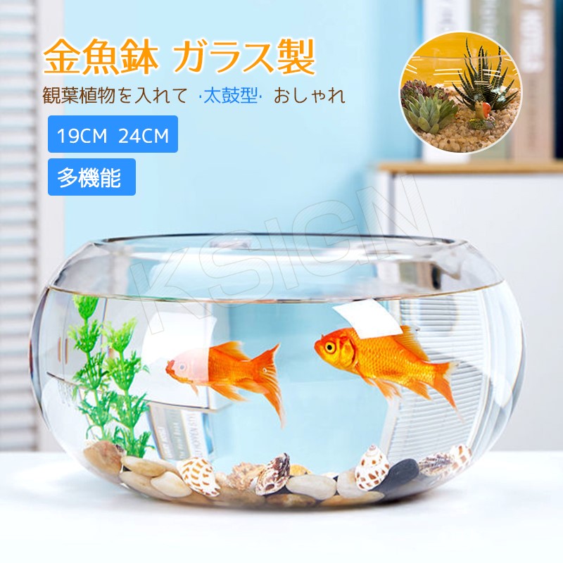 楽天市場】29cm 金魚鉢 ガラス製 透明 丸 鉢 和風 可愛い ミニ水槽