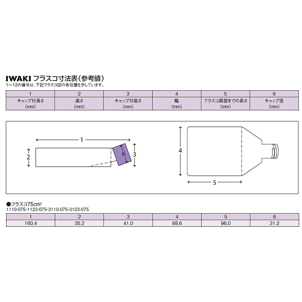 組織培養用フラスコ（付着性細胞用） 75cm2 ベントキャップ 100個