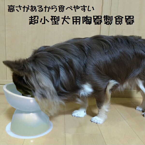 楽天市場 P倍18日 00 スケーター ペット用食器 陶器製 超小型犬用 大阪府立大学獣医学部との共同開発 アイボリー ミント オレンジ イエロー 犬用食器 餌用 餌皿 えさ皿 水飲み用 フード ウォーターボウル Chob1 スケーター公式ショップ