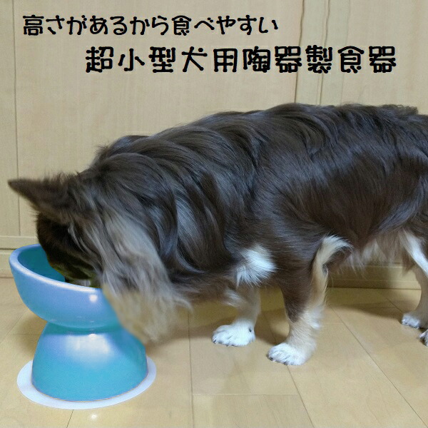 楽天市場 ペット用品 陶器製 超小型犬用食器 ミント ブルー 陶器 陶製 犬 ペット用食器 大阪府立大学と共同開発 スケーター公式ショップ