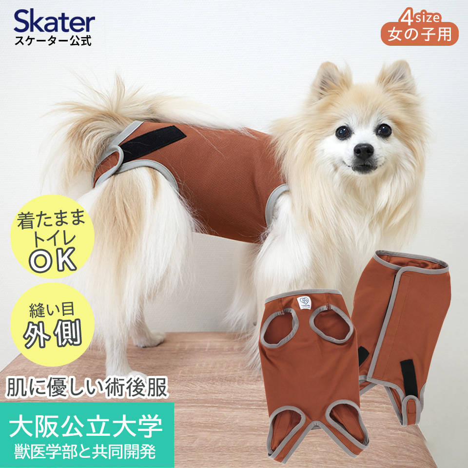 s_1463_petcf_brown01.jpg