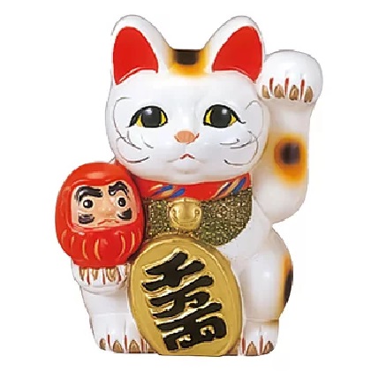楽天市場】常滑焼 招き猫 6号ダルマ付小判猫＜左手を上げる猫はお客を