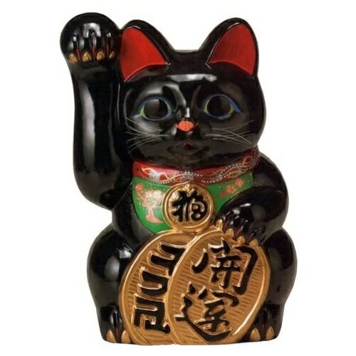 常滑焼 招き猫 梅月 開運黒手長小判猫（右寄り）15号 高さ：48糎