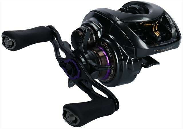 ダイワ ベイトリール スティーズ CT SV TW700XH 2019モデル (右巻)