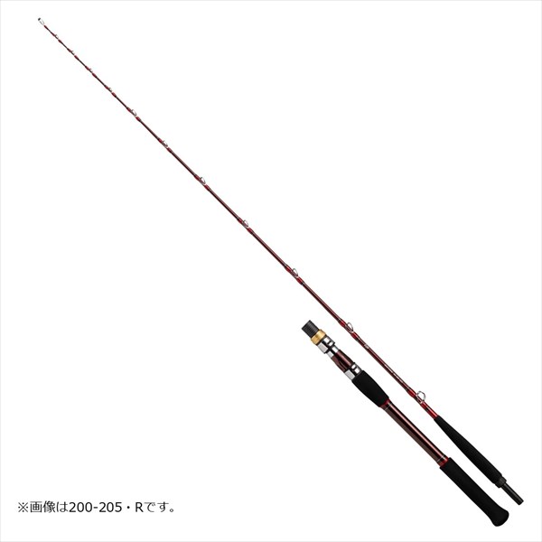 ダイワ  ディープゾーンGS 150-205･R