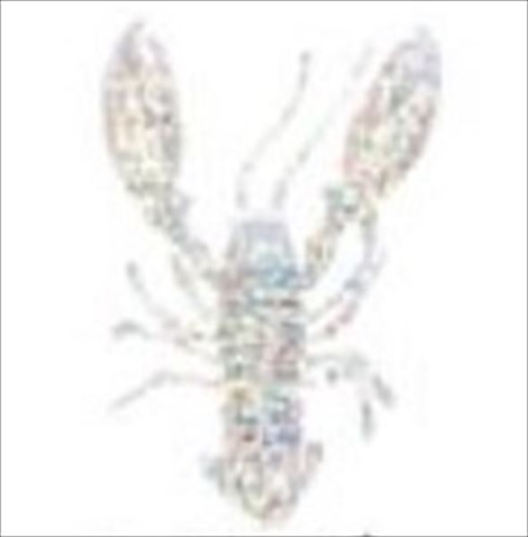 楽天市場】【あめつち】レインボー クリスタルホーリーグレイル 5-6