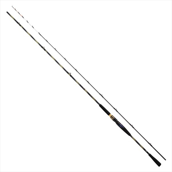 ダイワ DAIWA 23極鋭ヒラメ EX MH243 4550133337840.jpg