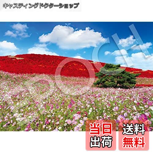 楽天市場】◇訳あり◇ エポック ジグソーパズル 1000ピース 櫻井幸雄