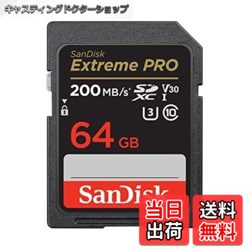 【送料無料】SanDisk