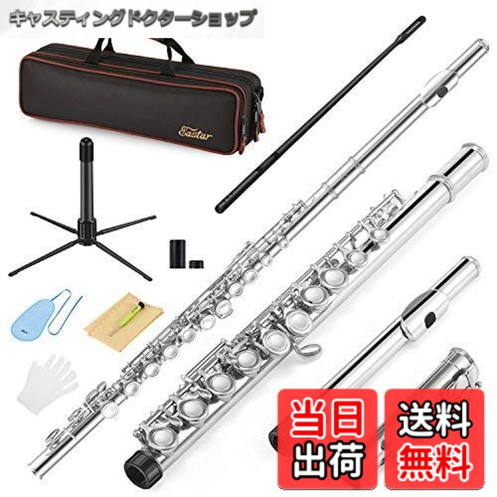 【送料無料】Eastar フルート カバードキー 16穴 Eメカ付き オフセット ニッケルメッキ スタンド&専門ケース
