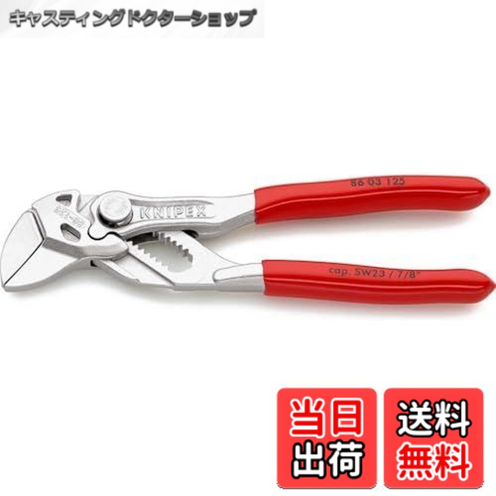 【貨物輸送無料】クニペックス KNIPEX ペンチ鍵 8603-125 (SB)