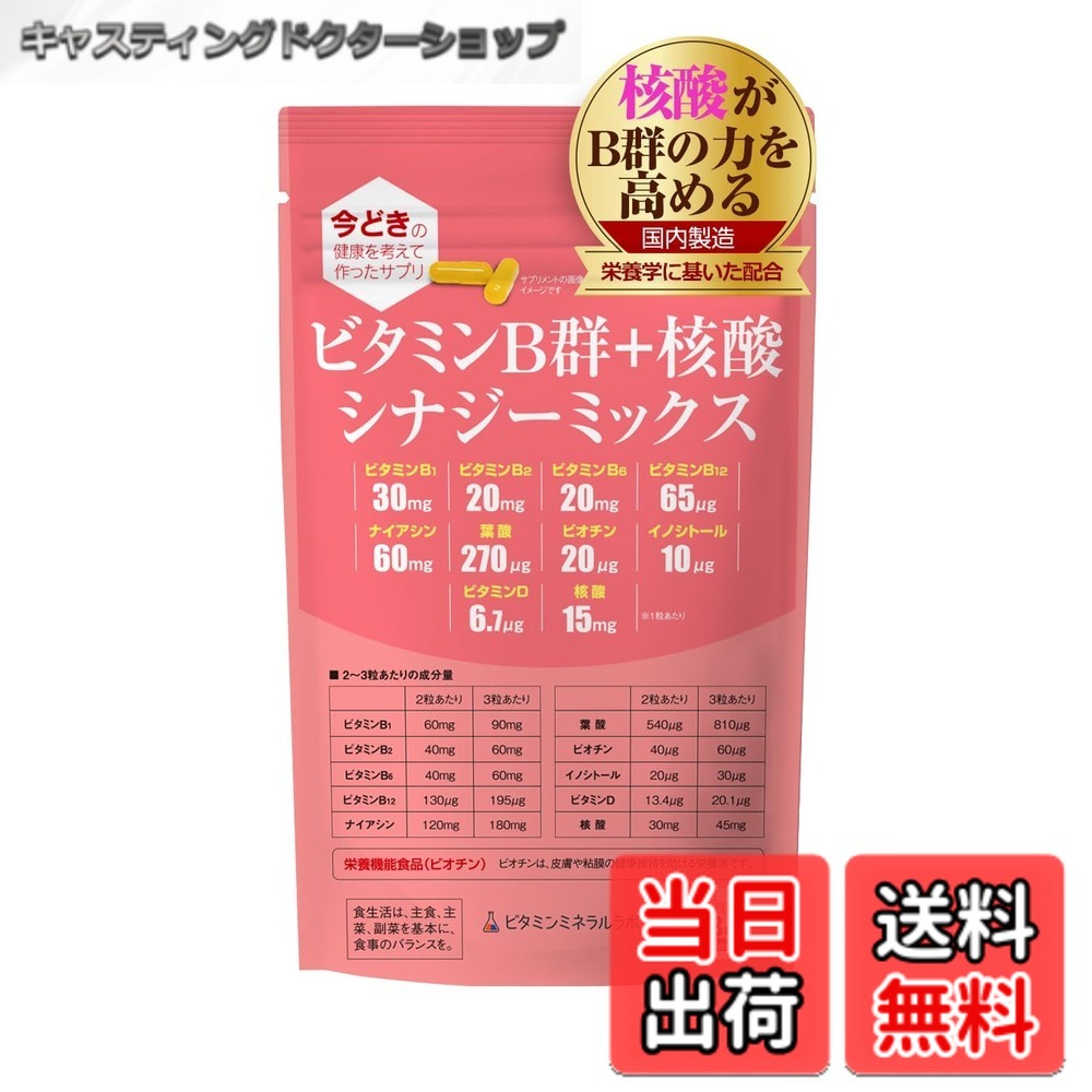 【送料無料】ビタミンB群+核酸 シナジーミックス サイズ：1袋