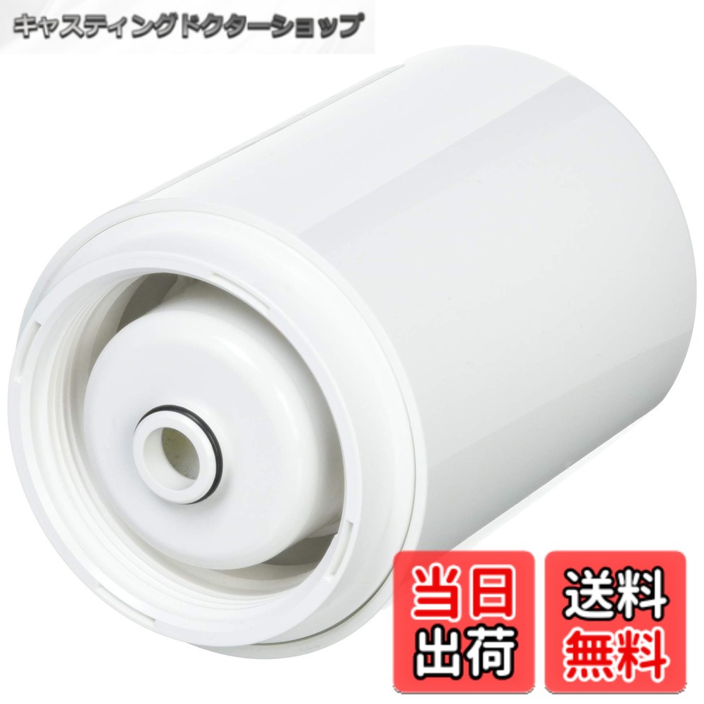【送料無料】パナソニック 交換用カートリッジ 【カビ臭・鉛・トリハロメタン除去タイプ】 [浄水能力:約4000L] TK6305C1