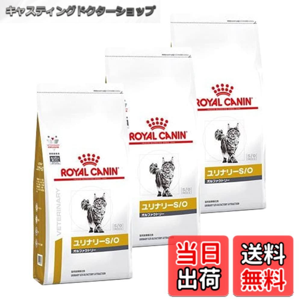 【送料無料】【3袋セット】ロイヤルカナン 食事療法食 猫用 ユリナリーS/O オルファクトリー ドライ 500g (旧 pHコントロール2 フィッシュテイスト)