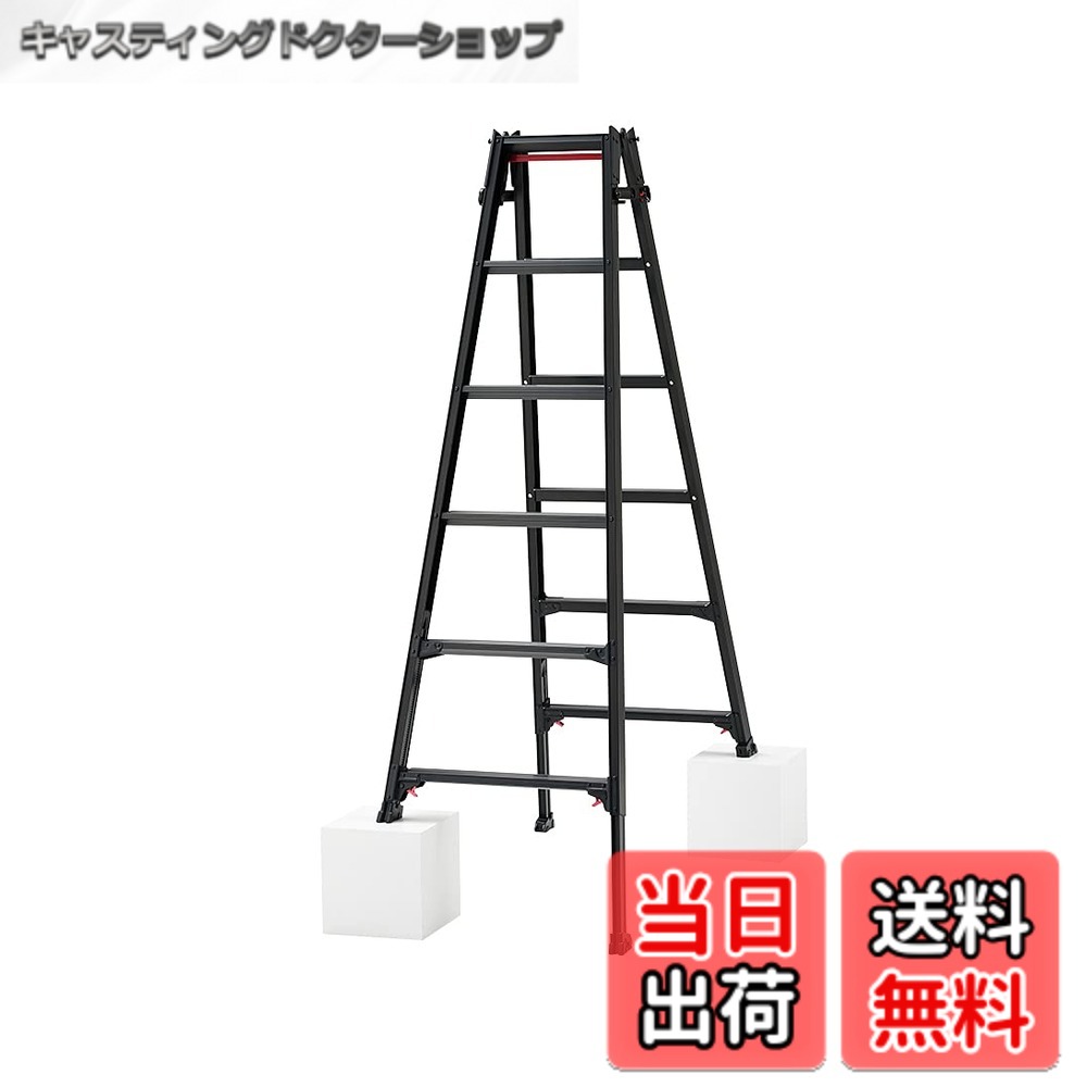 【送料無料】長谷川工業(Hasegawa) はしご兼用脚立 脚部伸縮 RYZ-d／RYZB-a 色：ブラック、サイズ：6段 (1.61~1.92m)