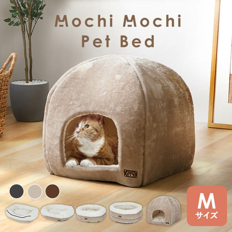 ڥåȥ٥å եɡʥĥե֥ɡʥĥեХ륽եåȥɡࡦɡ