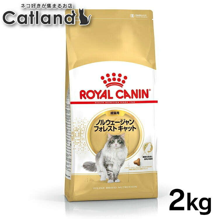 《激アツ★》【セットは更にお得!】ロイヤルカナン 猫 ノルウェージャンフォレストキャット 成猫用 2個セット 2kg 4kg (2kg×2) 正規品 猫用 キャットフード ドライ カリカリ アダルト 成猫 12ヵ月齢以上 12歳まで 大型猫 プレミアムフード ロイカナ ROYALCANIN|キャットランド