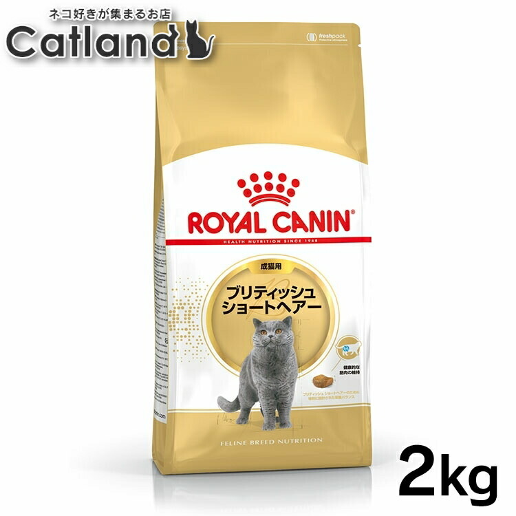 ロイヤルカナン 猫 ブリティッシュショートヘアー 成猫用 正規品 猫用 キャットフード ドライ カリカリ アダルト 成猫 12ヵ月齢以上 12歳まで プレミアムフード ロイカナ ROYALCANIN [3182550756419]【rccf36】｜キャットランド 16,681円