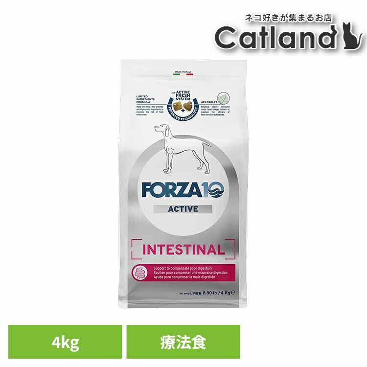Forza10 インテスティナルアクティブ 並み並み 4kg 治療薬食 自然的 魚 アレルギー反応 土手っ腹 胃の腑 便 くだり腹 中粒 消化 犬 【B】