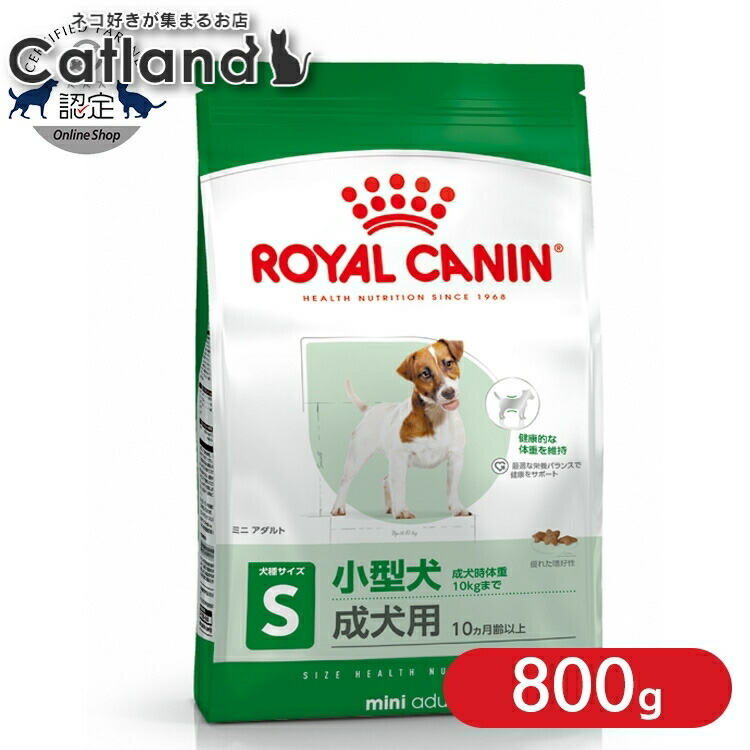 ロイヤル聖地 犬 SHN ミニ 成年者 800g ≪置き目品≫ 小型犬 (10kg以下) 生後10ヵ月齢以上 成年者 成犬用 犬 ボンネット ドッグフード 素っ気ない 割り増し金ボンネット ROYAL CANIN   [3182550793124]【rcdb47】