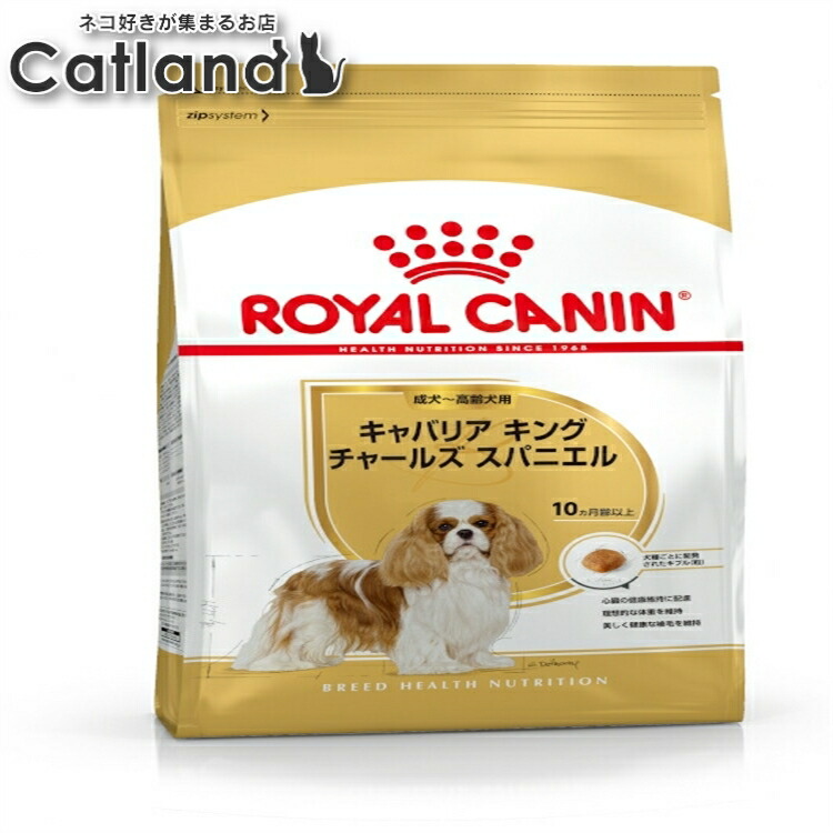 ロイヤル聖地 犬 BHN キャバリア 第一人者 プリンスチャールズ島 成犬～老いらく犬用 3kg ≪置き目品≫ 生後10ヵ月齢以上 成犬～老いらく犬 成年者 年がしら 犬 素っ気ない 成年者 ドッグフード ROYAL CANIN [3182550777698]【rcdb01】