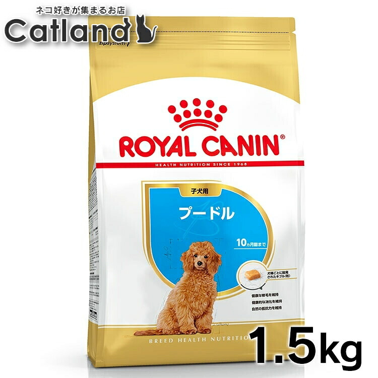 ロイヤルカナン 犬 BHN プードル 子犬用 1.5kg ≪正規品≫ 生後10ヵ月齢まで パピー 仔犬 犬 フード ドライ プレミアムフード ROYAL CANIN [3182550765213]【rcdb16】｜キャットランド