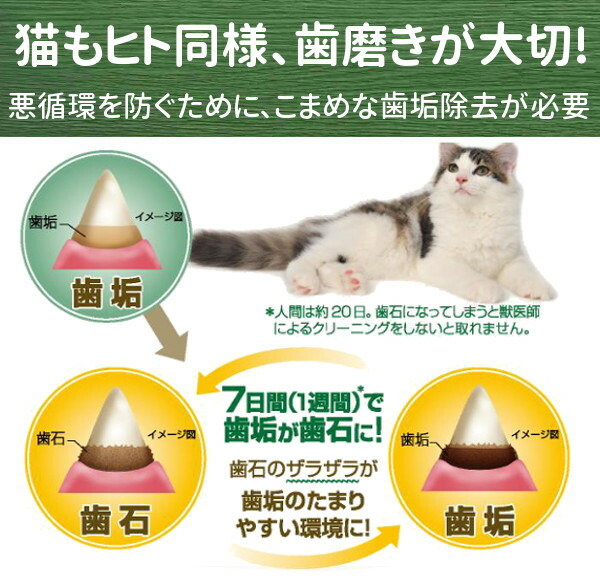 《最安値に挑戦》猫用 グリニーズ 70g チキン サーモン フィッシュ チキン&サーモン フィッシュ&ツナ グリルチキン・ハーブ フィーライングリニーズ おやつ デンタルケア 歯みがき 歯磨き ネコ キャットフード【D】 《最安値に挑戦》猫用 グリニーズ 70g チキン サーモン フィッシュ チキン&サーモン フィッシュ&ツナ グリルチキン・ハーブ フィーライングリニーズ おやつ デンタルケア 歯みがき 歯磨き ネコ キャットフード【D】