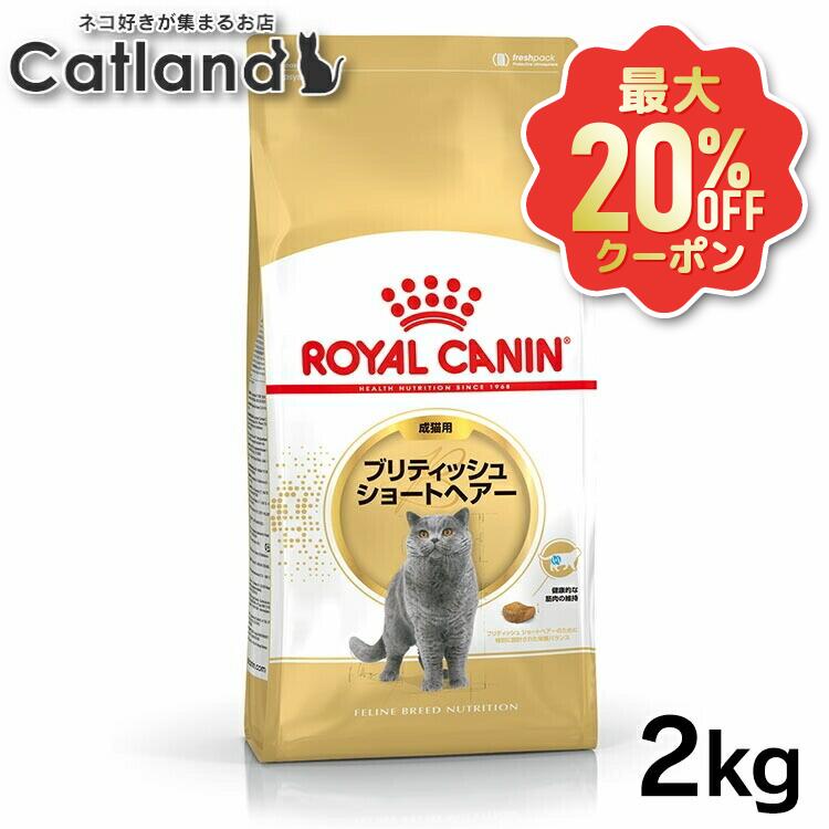 【最大限度20%OFF引き換え証★6/3-7】ロイヤル聖地 猫 ブリティッシュショートヘアー 成猫用 定め事品 猫用 キャットフード 素っ気ない カリカリ 成年者 成猫 12ヵ月齢以上 12歳まで 割り増し金ボンネット ロイカナ ROYALCANIN [3182550756419]【rccf36】