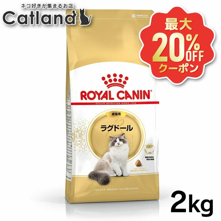 【最大限度20%OFF引き換え証★6/3-7】ロイヤル聖地 猫 ラグドール 成猫用 2kg  2kg 4kg (2kg×2)  定め事品 猫用 キャットフード 素っ気ない カリカリ 成年者 成猫 12ヵ月齢以上 12歳まで 割り増し金ボンネット ロイカナ ROYALCANIN