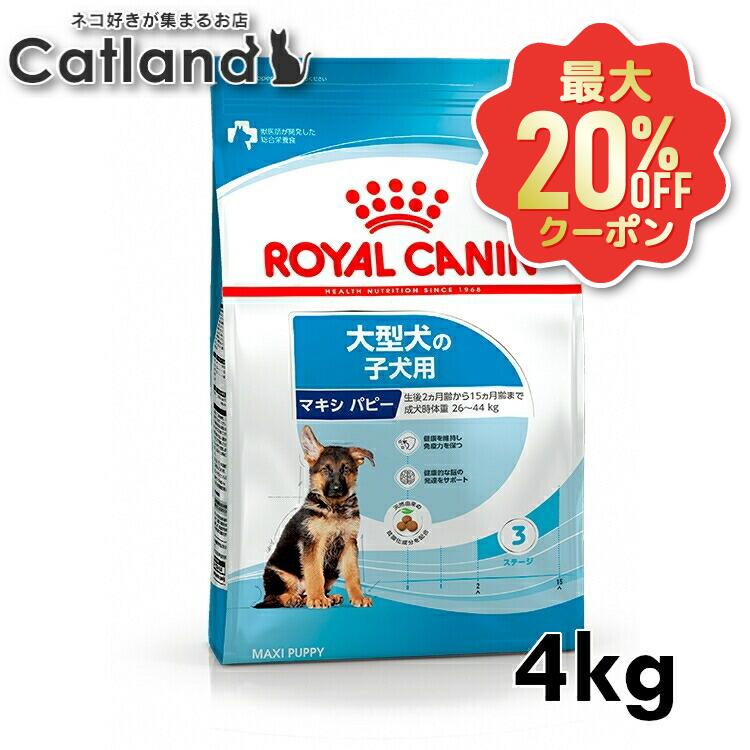 【最大限度20%OFFクーポン券★6/3-7】ロイヤル聖地 犬 SHN マキシ お坊っちゃん 4kg ≪定まり品≫ 大型犬 (26kg以上) 生後15ヵ月齢まで 犬ころ 犬ころ 犬 ボンネット 素っ気ない 割り増し金ボンネット ドッグフード ROYAL CANIN   [3182550402149]【rcdb41】