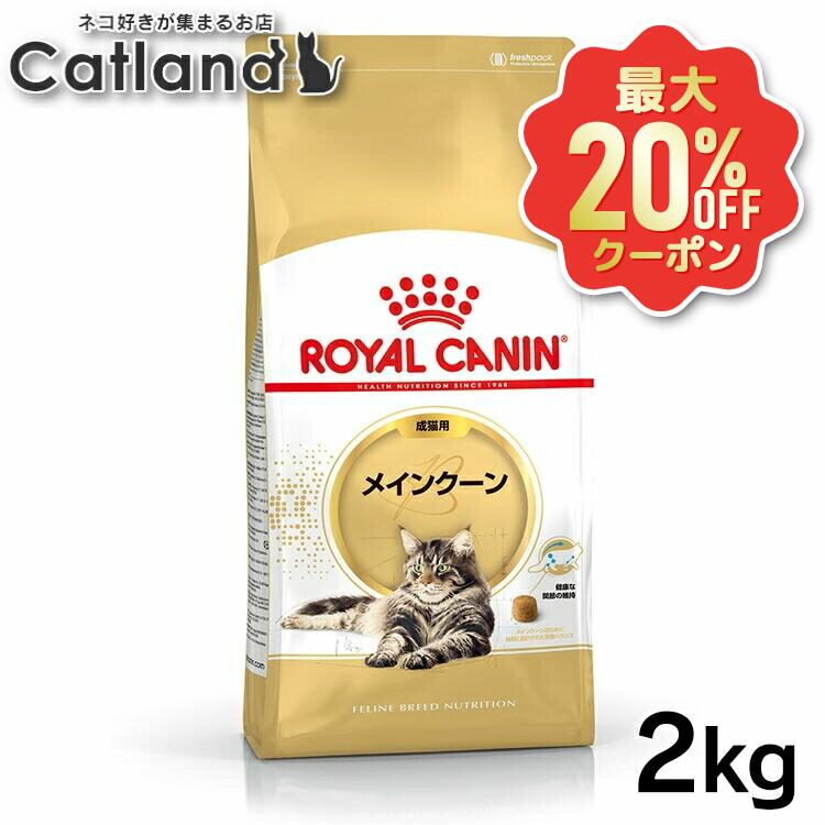 【最大限度20%OFF引き換え証★6/3-7】ロイヤル聖地 猫 メインクーン 成猫用 2kg 4kg (2kg×2) 12kg (2kg×6) 定め事品 猫用 キャットフード 素っ気ない カリカリ 成年者 成猫 15ヵ月齢以上 12歳まで メイクーン 割り増し金ボンネット  ROYALCANIN [3182550710640]【rccf40】
