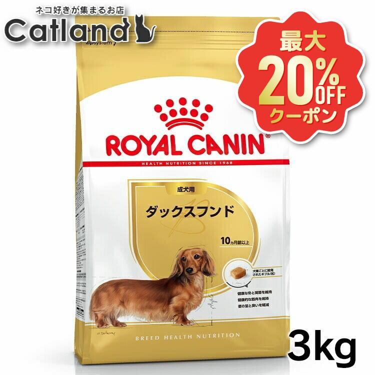 【最大限度20%OFF引き換え証★6/3-7】ロイヤル聖地 3kg ダックスフンド 犬 生後10か月齢以上 ファスナー付き添い人  BHN 成犬用 ドッグフード 犬 秘密捜査員 素っ気ない ボンネット 割り増し金ボンネット 取り入れる営養素食 お得 まとめ買い 大静電容量 3182550733830 ROYALCANIN【rcdb06】