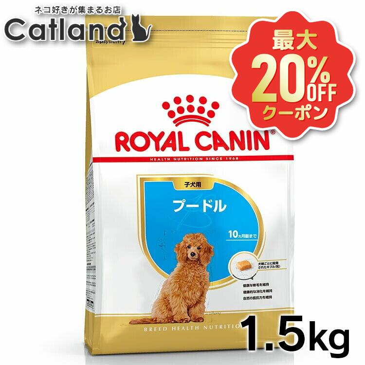 【最大限度20%OFF引き換え証★6/3-7】ロイヤル聖地 犬 BHN プードル 犬ころ用 1.5kg ≪定め事品≫ 生後10ヵ月齢まで パピー 犬ころ 犬 ボンネット 素っ気ない 割り増し金ボンネット ROYAL CANIN  [3182550765213]【rcdb16】