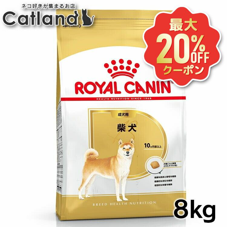 【最大限度20%OFF引き換え証★6/3-7】ロイヤル聖地 8kg 柴犬 成犬 生後10か月齢以上 ファスナー付き添い人 ブリードヘルスニュートリション BHN 成犬用 ドッグフード 犬 秘密捜査員 素っ気ない ボンネット 割り増し金ボンネット 取り入れる営養素食 お得 まとめ買い 3182550823913 ROYALCANIN【rcdb27】