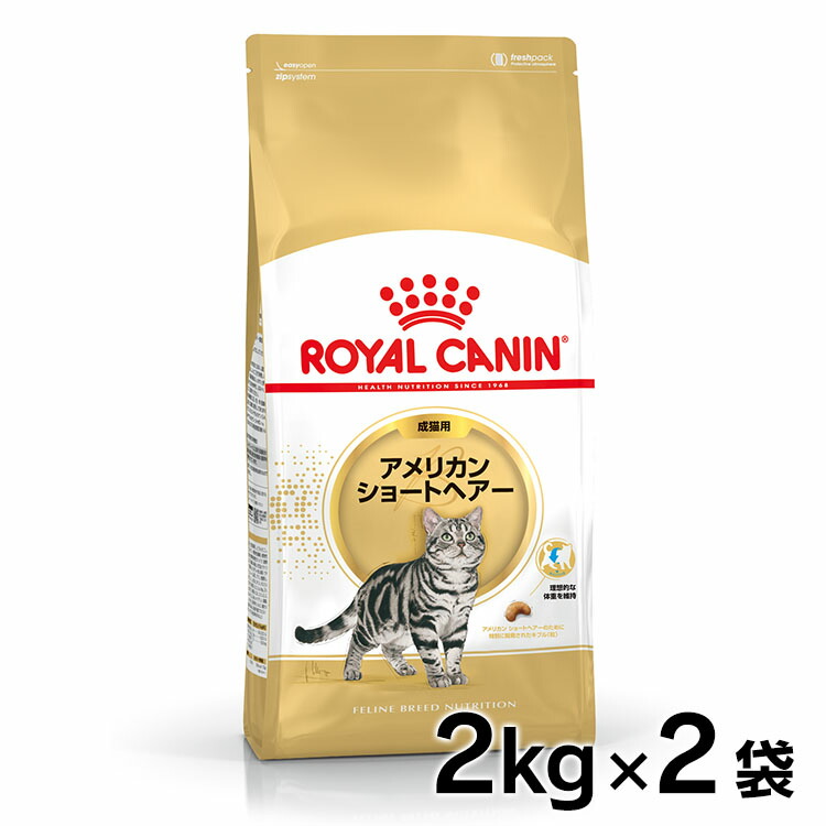 楽天市場 ロイヤルカナン 猫 Fbn アメリカンショートヘアー 成猫用 2kg 正規品 キャットフード プレミアムフード ドライ アダルト 成猫用 Royal Canin D Fbn 1607 01 Rccf33 Pet館 ペット館