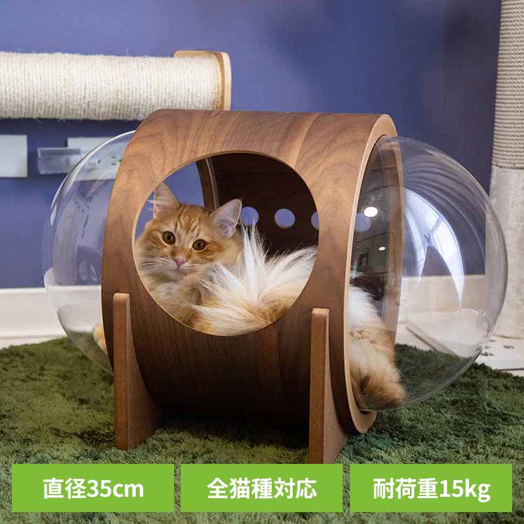 宇宙船ALPHA(ウォールナット) MZ0079 キャットウォーク キャットステップ 猫用品 ペット用品 猫家具 猫ベッド 壁掛け ペット共生 猫部屋 賃貸おすすめ 長彩株式会社 【B】