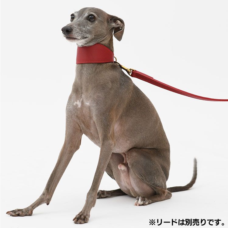 割引 Anna leather greyhound collar アンナレザーグレーハウンドカラー LDV106送料無料 首輪 犬用 本革 カラー  スタイリッシュ 映える ミニピン イタグレ ハヤブサ イタリア製 3号 3.5号 ブラウン レッド ブラック www.agroservet.com