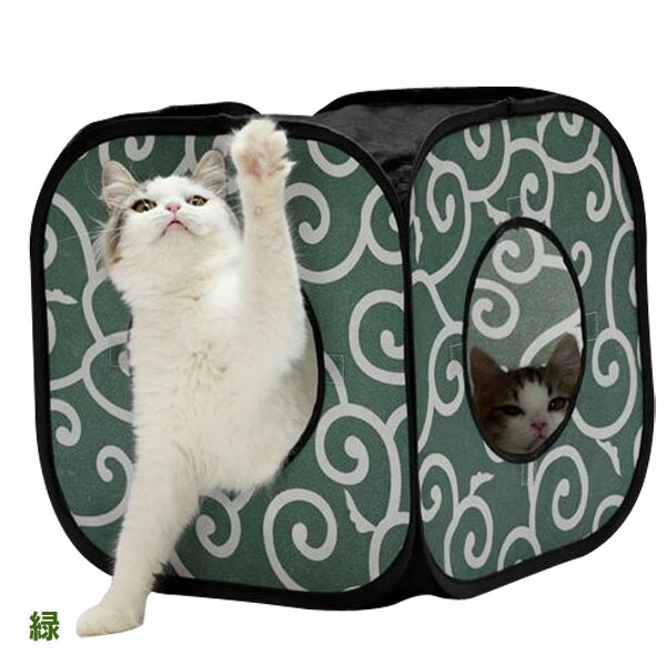 sport pet cat cube