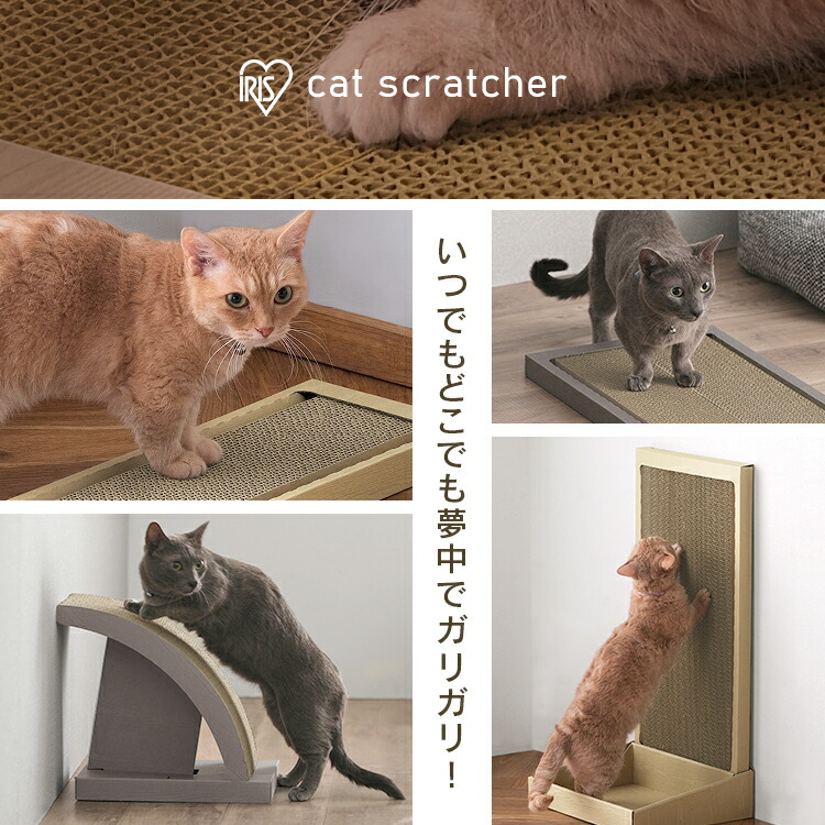 ≪あす楽対応≫コーナン オリジナル 猫のつめみがき１２Ｐ 猫 爪みがき 爪とぎ 猫のおもちゃ つめみがき ダンボール コーナン 爪ケア用品 
