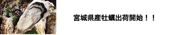 楽天市場】【業務用 テゾーロ ゴルゴンゾーラ チーズ クラッシュタイプ 1kg : カタクチ商店