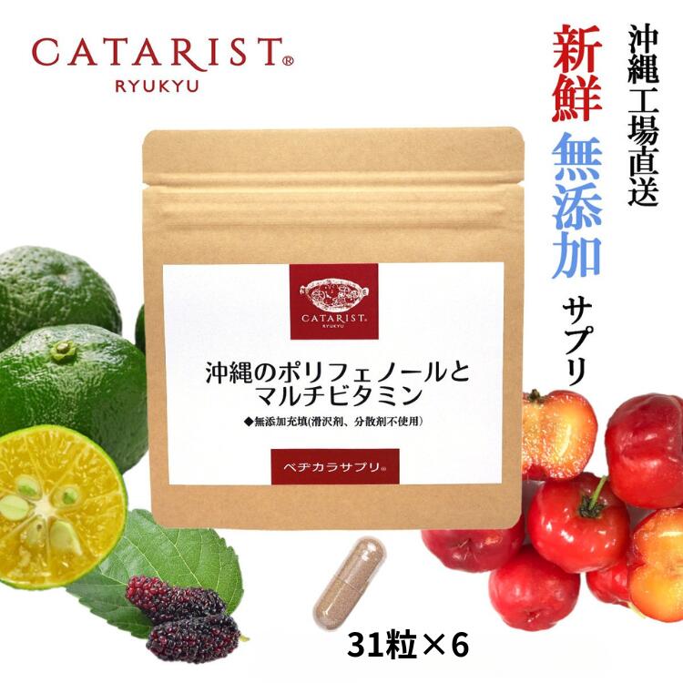 31粒×6袋 【186粒 】沖縄 ポリ石炭酸 マルチヴィタミン 11類概念 【栄養物役立つこと食料雑貨類】加えること サプリ 無つけ加える アセロラ ヴィタミンC 葉酸 ニコチン酸 蔬菜不十分さ ヴィタミンE ヴィタミンB2 ヴィタミンB1 葉酸 ヴィタミンD ヴィタミンB12 ビタミン-マルチビタミン