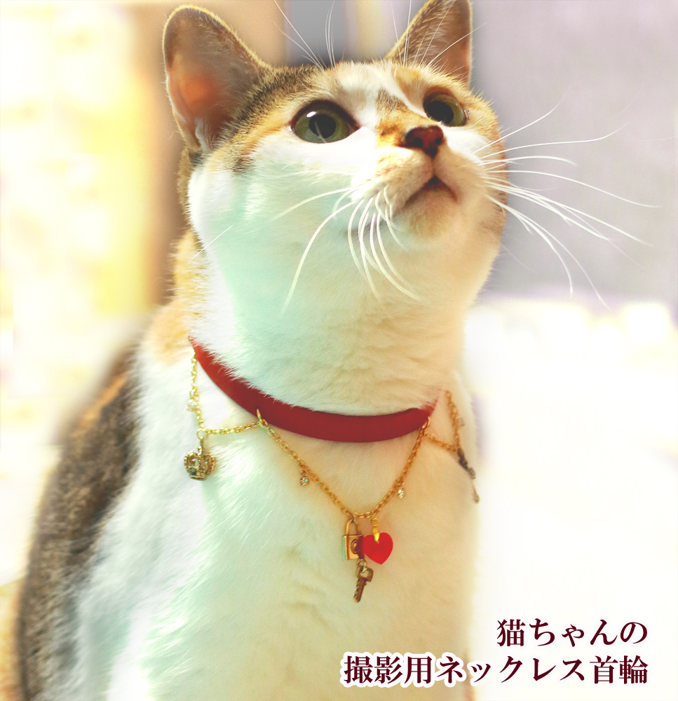 楽天市場 猫ちゃん用オシャレ首輪 猫用ネックレス 猫グッズ かわいい 雑貨 猫 好き な 人 プレゼント ギフト オシャレ 猫 誕生日 ねこ レディース 猫好き ネコ グッズ 赤 女性 代 30代 40代 猫好き猫グッズの店 キャットノワ