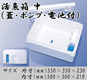 img65074197.jpg
