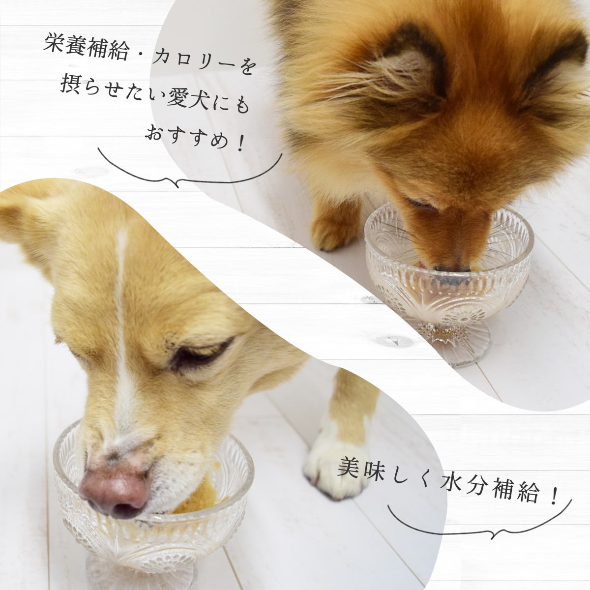 95 Off 夏季限定 愛犬用おやつ 愛犬とろける しあわせミックスジュース 140ml 3本セット ハウンドカム食堂 冷凍便 犬用 ペースト状 スムージー シャーベット フルーツジュース 栄養補給 ヤギミルク 老犬 やわらかいおやつ Toyama Nozai Co Jp