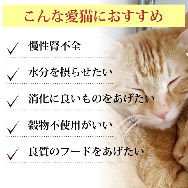 アニモンダ猫インテグラプロテクトニーレン仔牛100g×16缶腎臓療法食まとめ買い猫缶キャットフードanimondaintegraprptectエサ猫用餌ウェットフード缶詰低リン低タンパク質グレインフリー穀物不使用慢性腎不全腎臓病