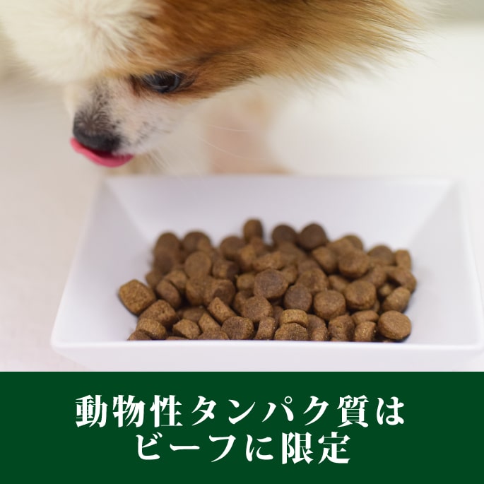 トライプドライ Sapビーフトライプ 微粒毛色 11 34kg ドッグボンネット 偏食 小食 諜者ころ グレイン自由 景品フード トランペットフード 乳酸菌 プレミアム 消化 雑穀フリー 老齢犬 年嵩 Vbpnews Com
