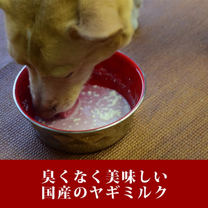 犬用猫用ミルク 国産ヤギミルクプレミアム濃厚 0g 無添加 キャット ドッグ 粉末タイプ Kanal9tv Com 犬用猫用ミルク 国産ヤギミルクプレミアム濃厚 0g 無添加 キャット ドッグ 粉末タイプ Kanal9tv Com