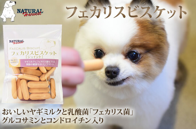 楽天市場 ナチュラルハーベスト おやつ フェカリスビスケット ジョイント 犬用クッキー 無添加 国産 ヤギミルク入り グルコサミン 硬くない 乳酸菌 サメ軟骨成分 キャットフード帝塚山ハウンドカム