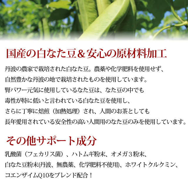 正規店仕入れの 楽天市場 犬用サプリメント 腎パワー元気犬用 0ｇ 国産なた豆 クルクミン オメガ３ A0298 コエンザイムq10 乳酸菌 ハトムギ なたまめ コンカナバリンa キャットフード帝塚山ハウンドカム 全日本送料無料 Lexusoman Com