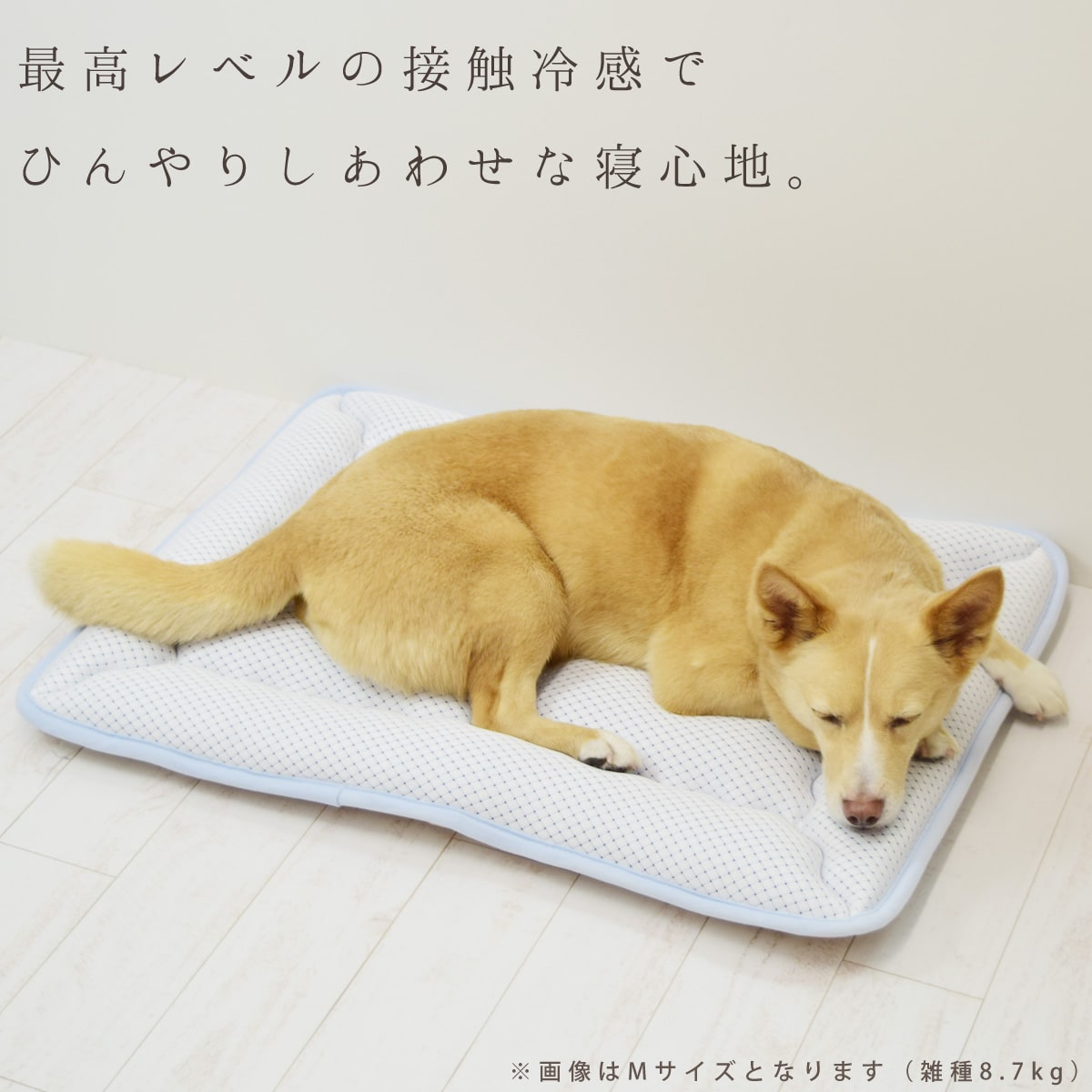 愛犬愛猫用 超クールwラッセルウォッシャブルマット L 大型犬 防ダニ ペット用マット 接触冷感 日本製 100 70